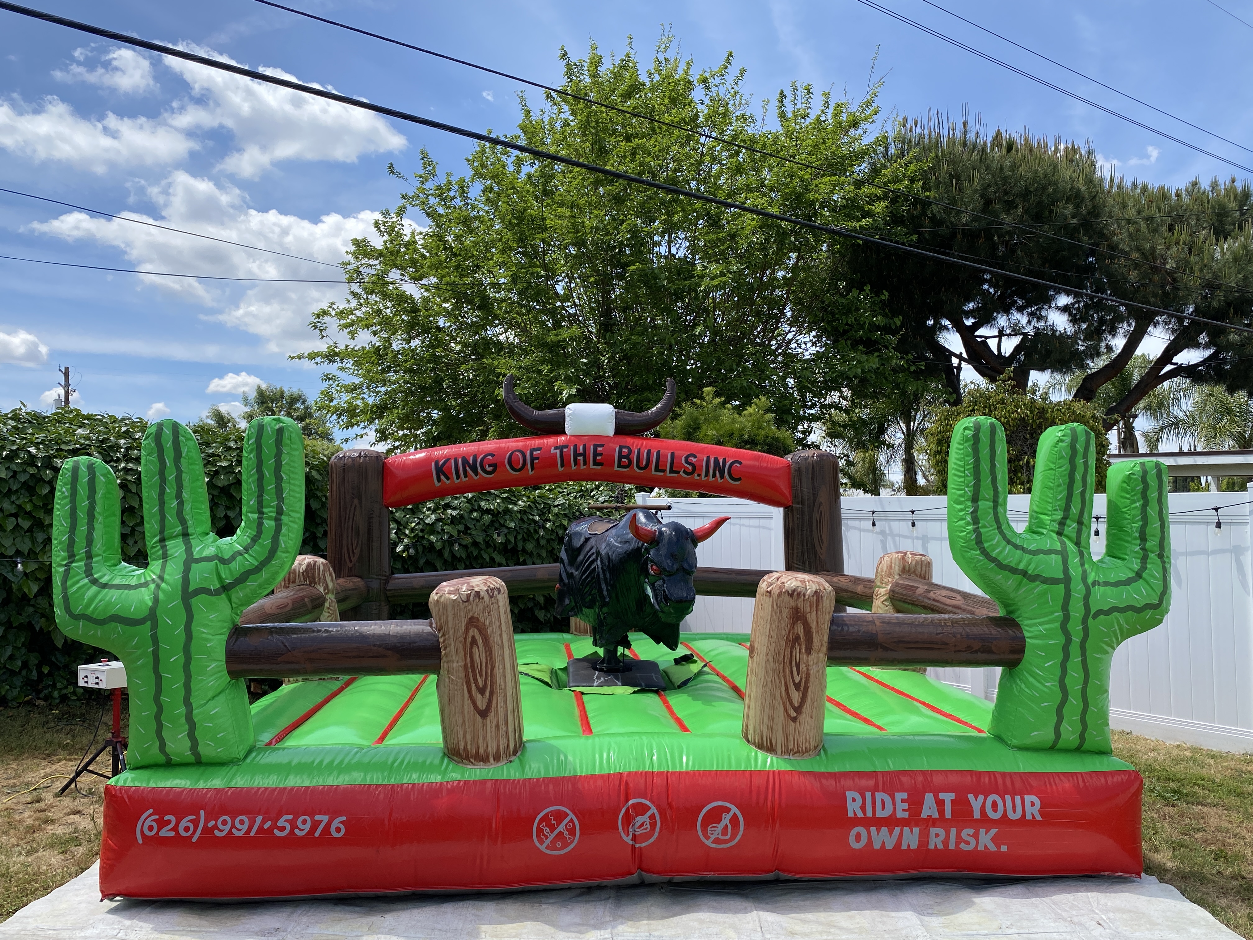 Party Mechanical Bull Rental