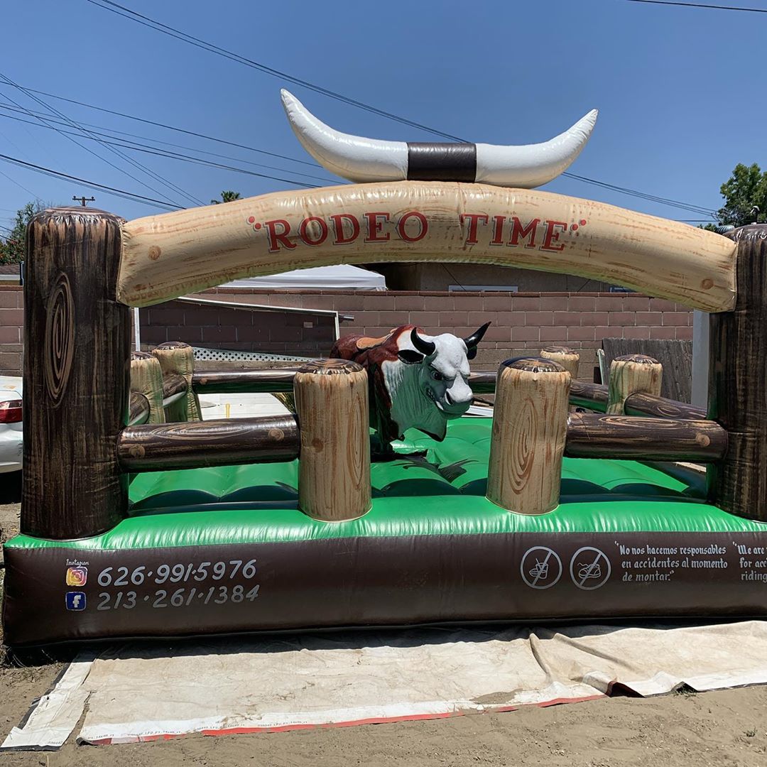 Party Mechanical Bull Rental